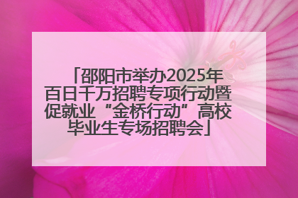 邵阳市举办2025年百日千万招聘专项行动暨促就业“金桥行动”高校毕业生专场招聘会