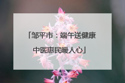 邹平市：端午送健康 中医惠民暖人心