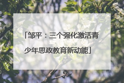 邹平：三个强化激活青少年思政教育新动能