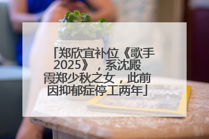 郑欣宜补位《歌手2025》，系沈殿霞郑少秋之女，此前因抑郁症停工两年