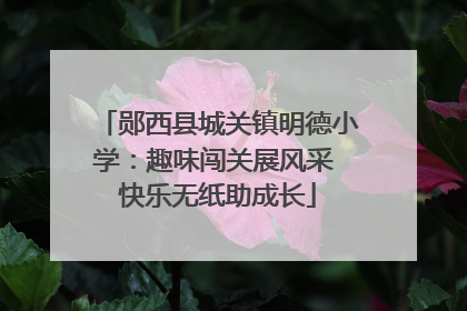 郧西县城关镇明德小学：趣味闯关展风采 快乐无纸助成长