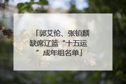 郭艾伦、张镇麟缺席辽篮“十五运”成年组名单