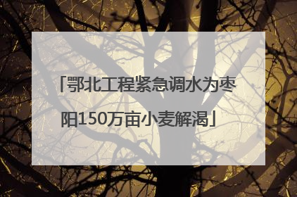 鄂北工程紧急调水为枣阳150万亩小麦解渴