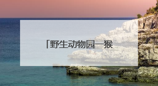 野生动物园一猴子“丑”出圈，当地保育员回应