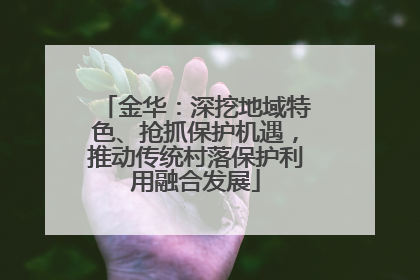 金华：深挖地域特色、抢抓保护机遇，推动传统村落保护利用融合发展