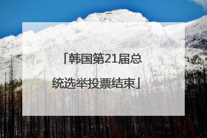 韩国第21届总统选举投票结束