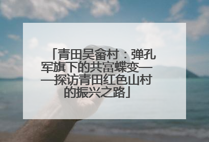 青田吴畲村：弹孔军旗下的共富蝶变——探访青田红色山村的振兴之路