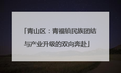 青山区：青福镇民族团结与产业升级的双向奔赴