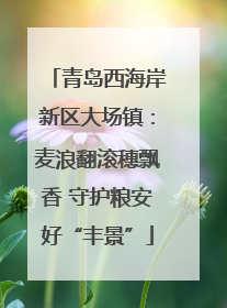 青岛西海岸新区大场镇：麦浪翻滚穗飘香 守护粮安好“丰景”