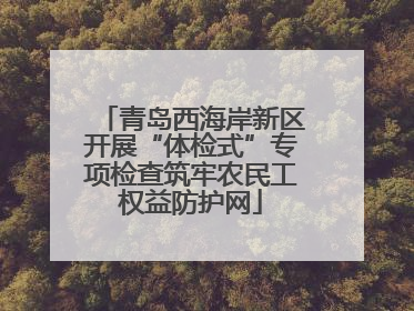 青岛西海岸新区开展“体检式”专项检查筑牢农民工权益防护网