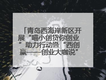 青岛西海岸新区开展“喵小创贷你创业”助力行动暨“西创赢——创业大咖说”主题活动