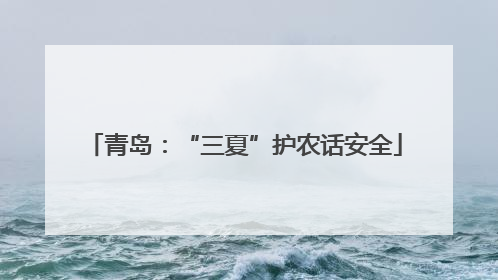 青岛：“三夏”护农话安全