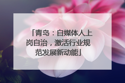 青岛：自媒体人上岗自治，激活行业规范发展新动能