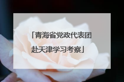 青海省党政代表团赴天津学习考察