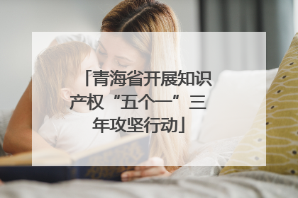 青海省开展知识产权“五个一”三年攻坚行动