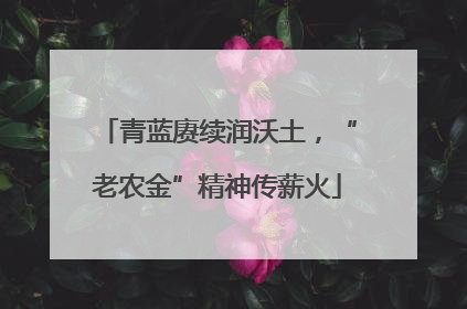青蓝赓续润沃土，“老农金”精神传薪火