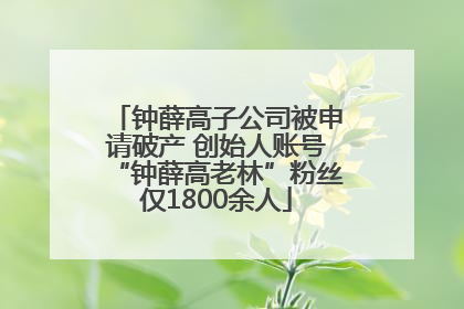 钟薛高子公司被申请破产 创始人账号“钟薛高老林”粉丝仅1800余人