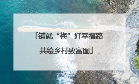 铺就“梅”好幸福路 共绘乡村致富图