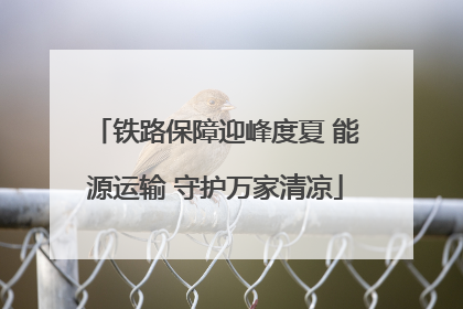 铁路保障迎峰度夏 能源运输 守护万家清凉