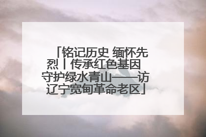 铭记历史 缅怀先烈丨传承红色基因 守护绿水青山——访辽宁宽甸革命老区