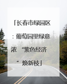 长春市绿园区：葡萄园里绿意浓 “紫色经济”焕新枝