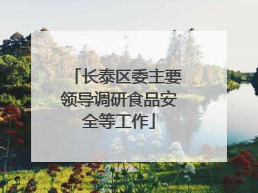 长泰区委主要领导调研食品安全等工作