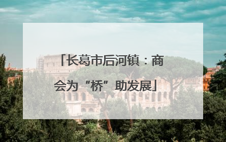 长葛市后河镇：商会为“桥”助发展