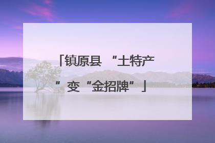 镇原县 “土特产”变“金招牌”