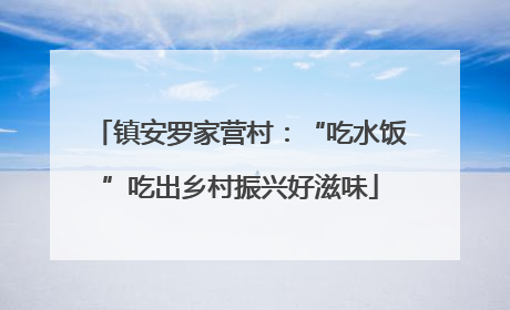 镇安罗家营村：“吃水饭”吃出乡村振兴好滋味