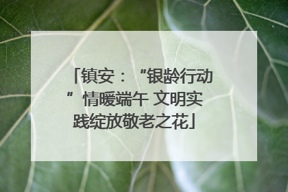 镇安：“银龄行动”情暖端午 文明实践绽放敬老之花