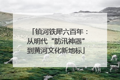 镇河铁犀六百年：从明代“防汛神器”到黄河文化新地标