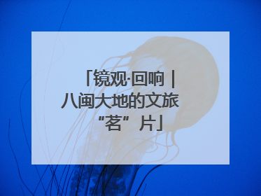 镜观·回响｜八闽大地的文旅“茗”片