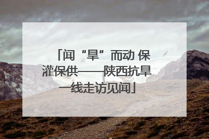 闻“旱”而动 保灌保供——陕西抗旱一线走访见闻