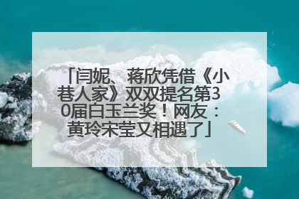闫妮、蒋欣凭借《小巷人家》双双提名第30届白玉兰奖！网友：黄玲宋莹又相遇了