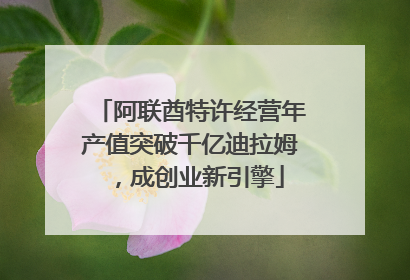 阿联酋特许经营年产值突破千亿迪拉姆，成创业新引擎
