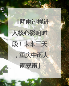 降雨过程进入核心影响时段！未来三天，重庆中雨大雨暴雨