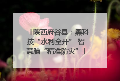 陕西府谷县：黑科技“水利全开” 智慧脑“精准防灾”