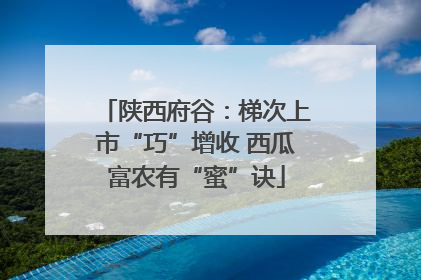 陕西府谷：梯次上市“巧”增收 西瓜富农有“蜜”诀