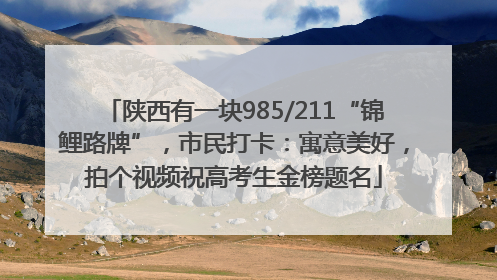 陕西有一块985/211“锦鲤路牌”，市民打卡：寓意美好，拍个视频祝高考生金榜题名