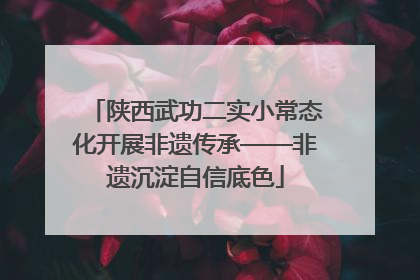 陕西武功二实小常态化开展非遗传承——非遗沉淀自信底色