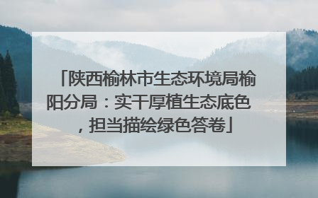 陕西榆林市生态环境局榆阳分局：实干厚植生态底色，担当描绘绿色答卷
