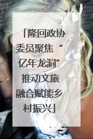 隆回政协委员聚焦“亿年龙洞” 推动文旅融合赋能乡村振兴