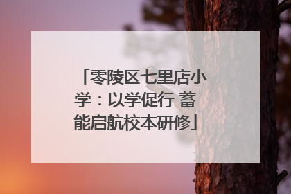 零陵区七里店小学：以学促行 蓄能启航校本研修