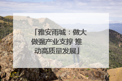 雅安雨城：做大做强产业支撑 推动高质量发展