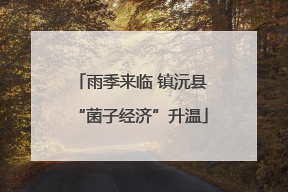 雨季来临 镇沅县“菌子经济”升温