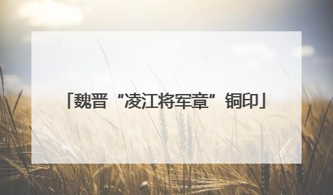 魏晋“凌江将军章”铜印