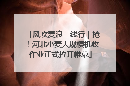 风吹麦浪一线行｜抢！河北小麦大规模机收作业正式拉开帷幕