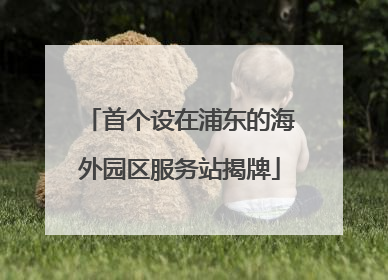 首个设在浦东的海外园区服务站揭牌