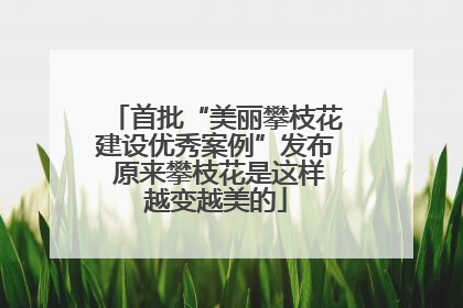 首批“美丽攀枝花建设优秀案例”发布 原来攀枝花是这样越变越美的