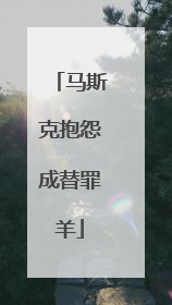 马斯克抱怨成替罪羊